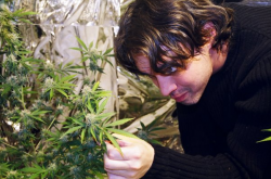 Medical marijuana user Matt Mernagh and his medicine.